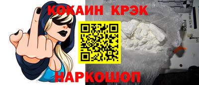 крисы Кингисепп