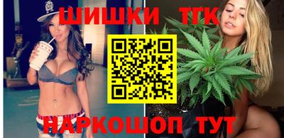 крисы Кингисепп
