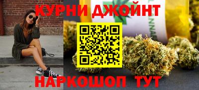 крисы Кингисепп