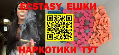 крисы Кингисепп