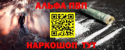 крисы Кингисепп