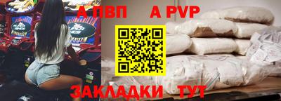 крисы Кингисепп