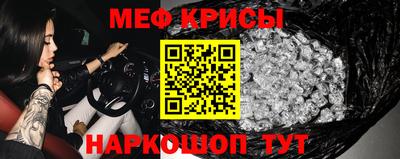 крисы Кингисепп
