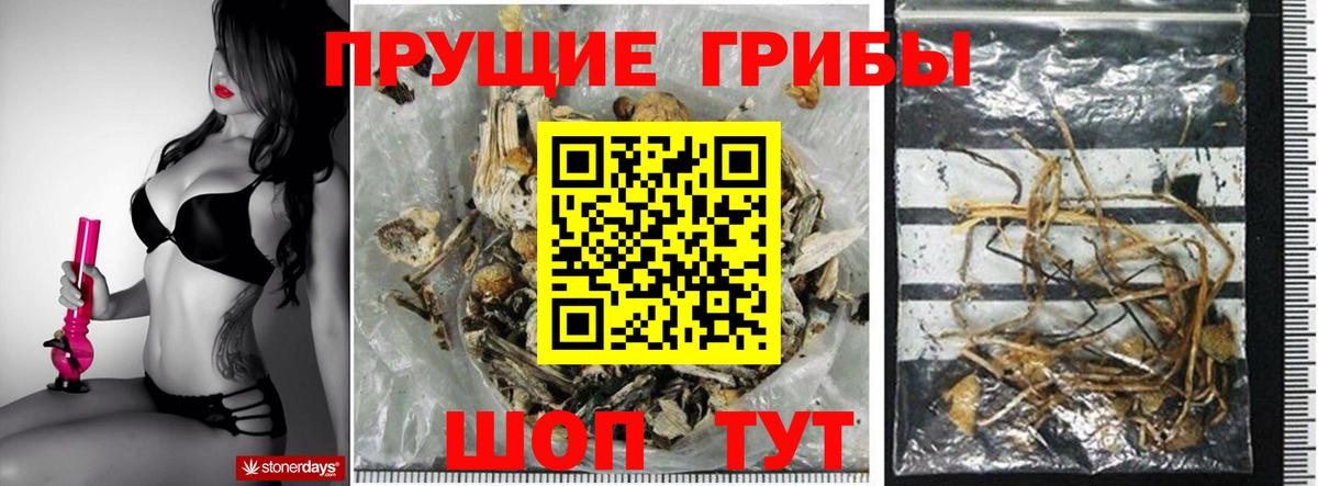 Железногорск  Галлюциногенные грибы ЛСД  Вход с VPN  Псилоцибиновые грибы прущие грибы 